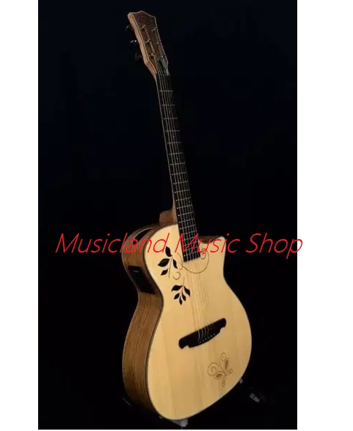 Sqoe Guitar semi acoustic