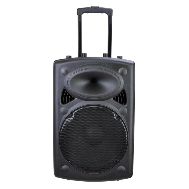 15" Portable rechargeable speakers