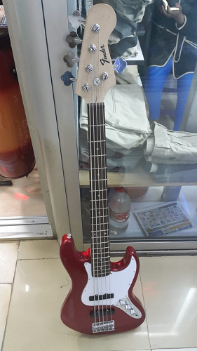 5 Strings students bass guitar