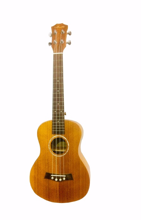 Professional 22 inch Ukulele