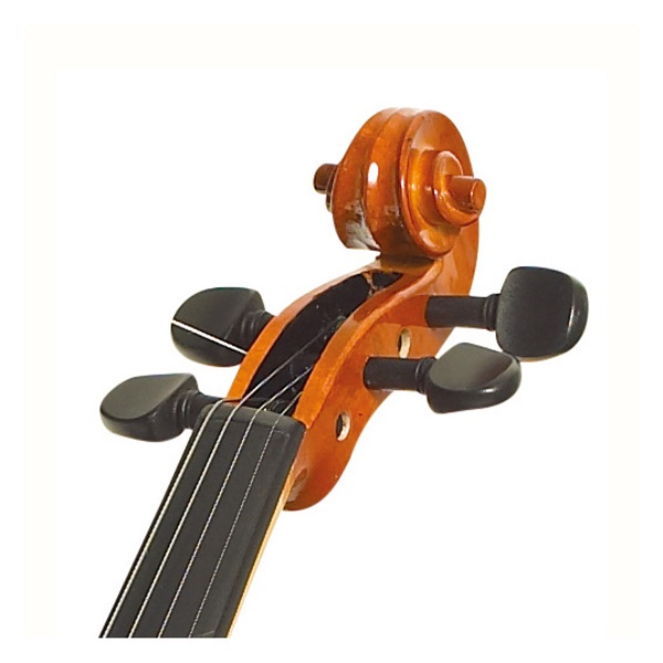 Stentor Standard Violin Outfit