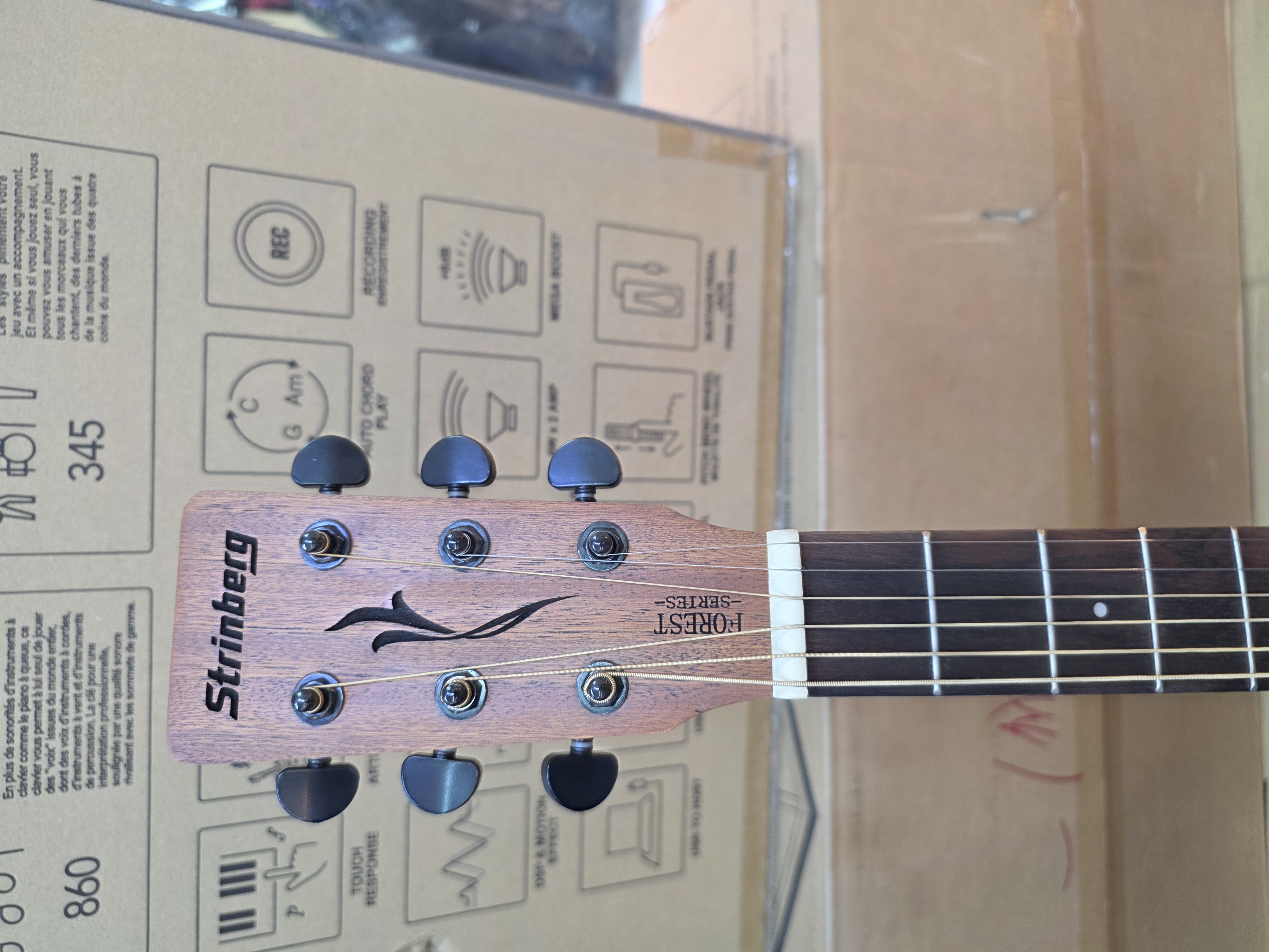 Strinberg Forest Fs4d Tobacco Tos Electroacoustic Guitar