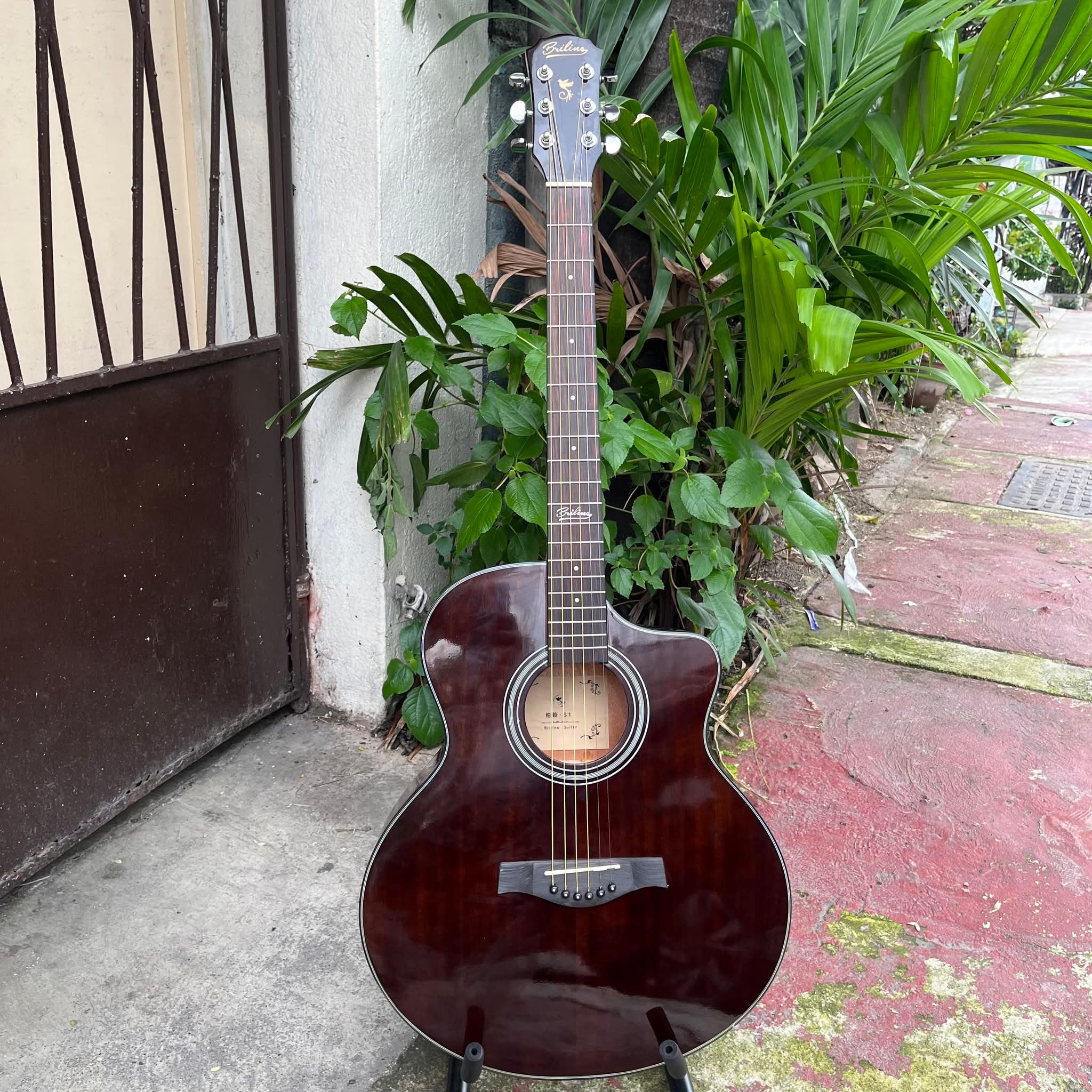 Briline S1 Pure Acoustic Guitar Briline S1 Pure Acoustic Guitar