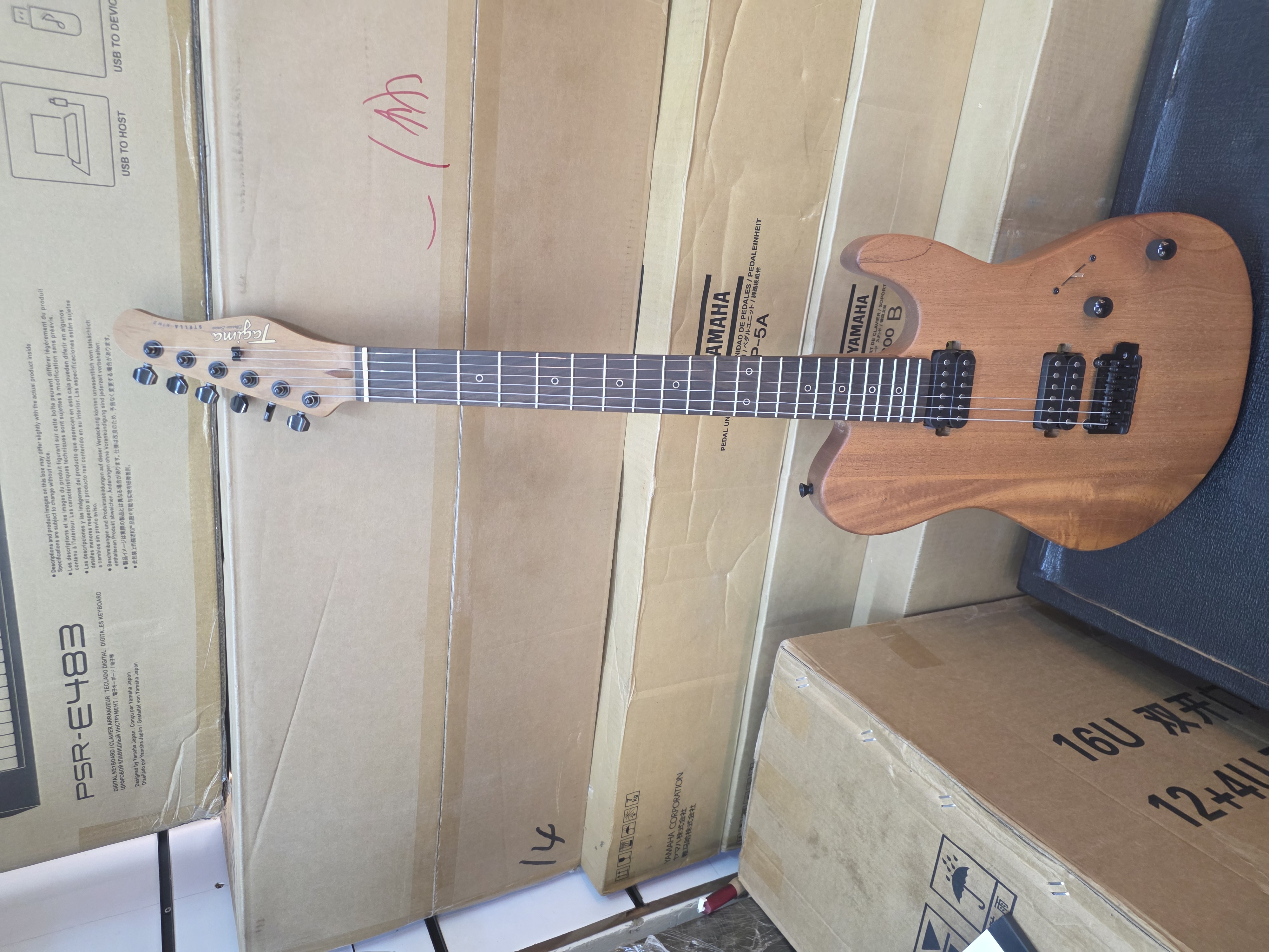 Electric Guitar Tagima Nairobi kenya