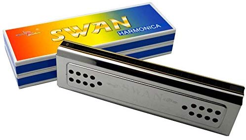 48 Holes Harmonica, Tremolo, Two Keys C & G