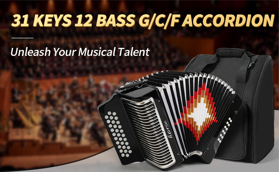 Accordion12 Bass 31 highs Diatonic