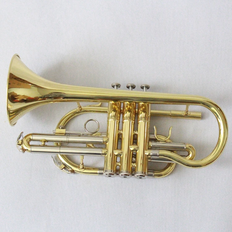 Premier England gold Bb cornet with lacquered brass finish, smooth piston valves, hard case, and mouthpiece for brass bands, churches, and school musicians. Premier England gold Bb cornet with lacquered brass finish, smooth piston valves, hard case, and mouthpiece for brass bands, churches, and school musicians.