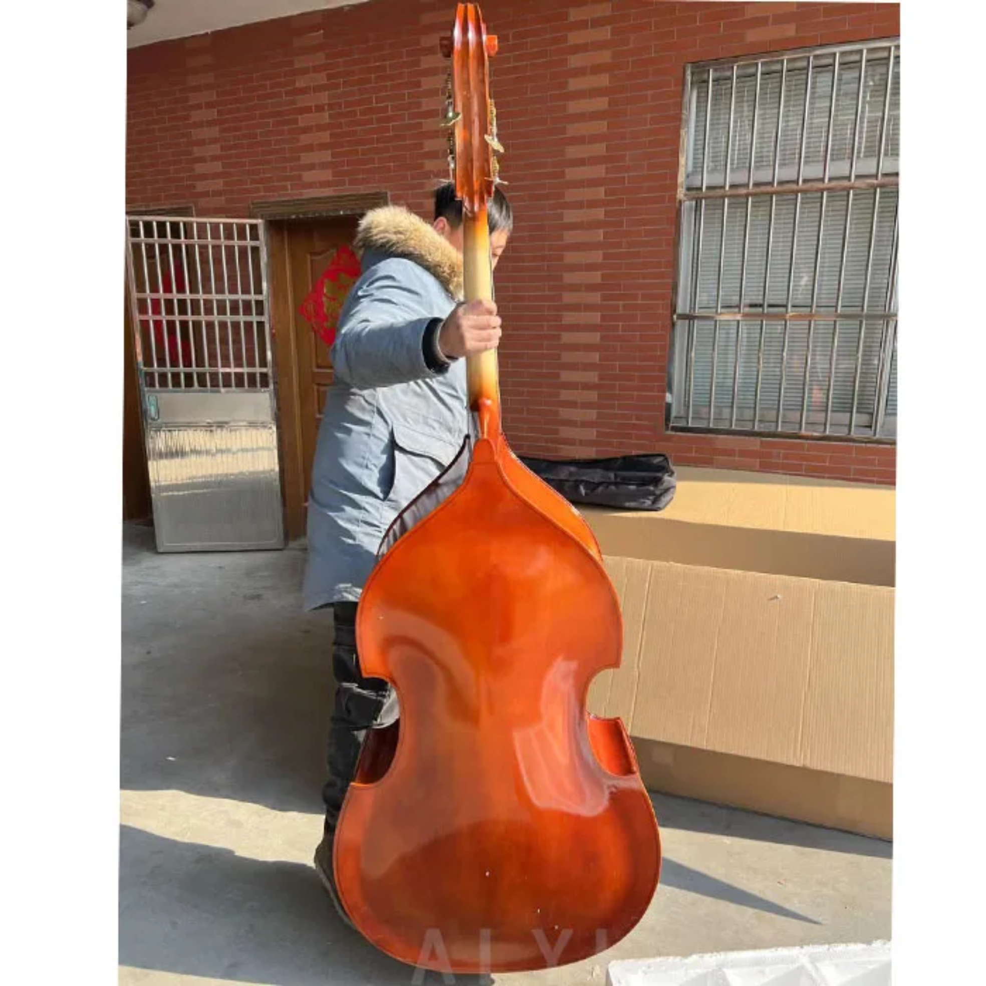 The Double Bass, also known as the Upright Bass or String Bass, is the largest and lowest-pitched member of the violin family.