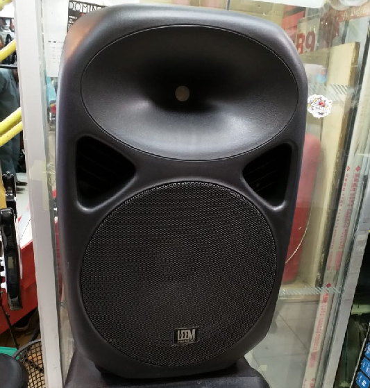 15" Portable rechargeable speakers