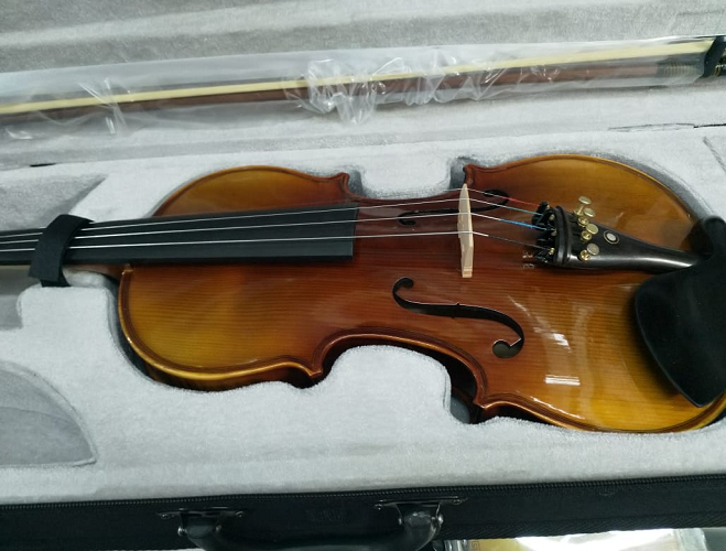 Professional violin