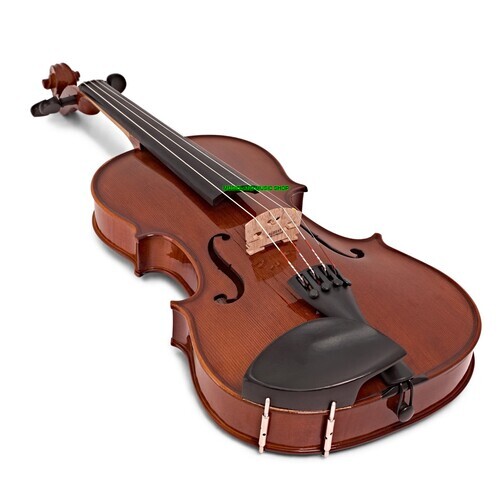 Stentor Conservatoire II violin outfit (1560A)